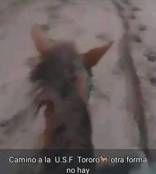 A caballo, enfermero llega a USF en Villarrica