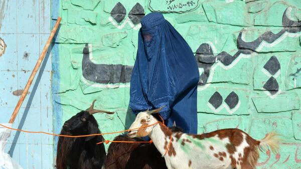 La ONU condena la ley talibán que silencia a las mujeres en Afganistán