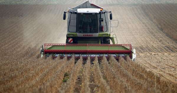 La Nación / Campaña agrícola: estiman déficit de lluvias y aumento de temperatura para los próximos dos meses