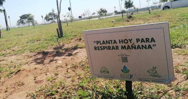 La Nación / El impacto del cambio climático en nuestras vidas