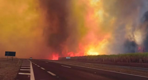 Incendios en São Paulo provoca dos muertes y alerta a 30 municipios