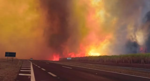 Incendios en São Paulo provoca dos muertes y alerta a 30 municipios