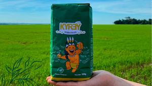 De la tierra a la taza: crecen diversificación de uso de yerba y demanda de productos saludables