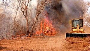 Cambio climático con graves efectos y “medidas insuficientes del Gobierno”