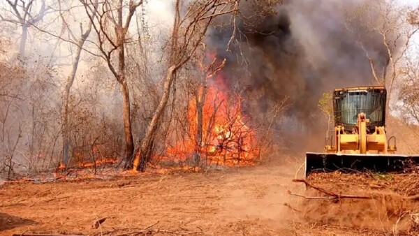 Cambio climático con graves efectos y “medidas insuficientes del Gobierno”