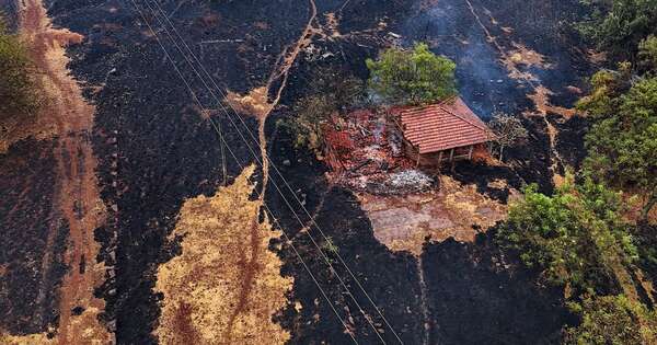 La Nación / Brasil: despliegan aviones militares para combatir incendios