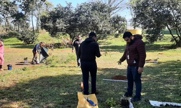 Plantan árboles en Parque Independencia