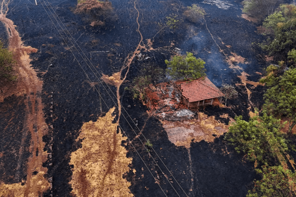 Brasil: despliegan aviones militares para combatir incendios