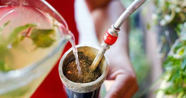 Diario HOY | Cómo limpiar a fondo la bombilla del mate y tereré para cuidar la salud