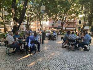 La defensa de un jardín o cómo preservar la esencia de Lisboa - Viajes - ABC Color