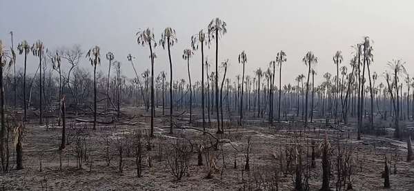 En Fuerte Olimpo buscan identificar a responsables incendios forestales - Noticias del Chaco - ABC Color