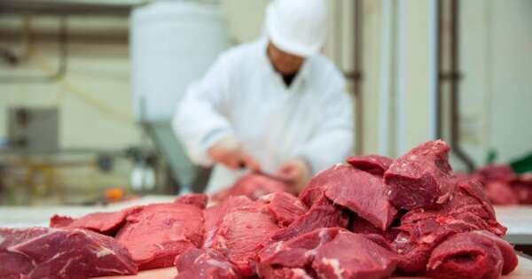 La Nación / MAG considera que fundar instituto de la carne es crucial para mejorar los precios