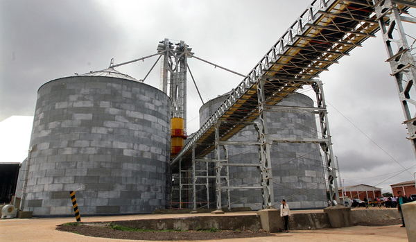 Venta de biodiésel aumentó 383% gracias al incremento en la mezcla de biocombustibles establecida por Gobierno
