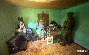Decomisan 1.699 kilos de marihuana en la frontera - ABC en el Este - ABC Color