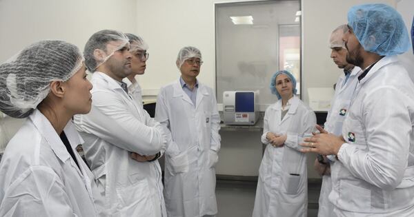La Nación / Expertos taiwaneses capacitarán al sector porcino con miras a próximas auditorías