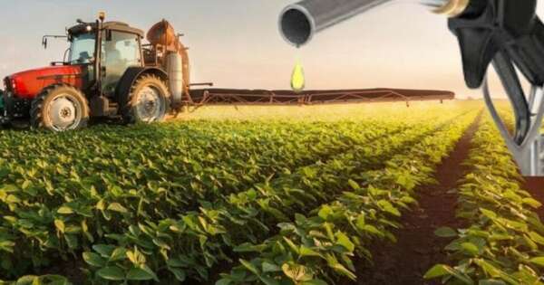 Diario HOY | Aumenta exportaciones y venta de biodiésel en el primer semestre del año