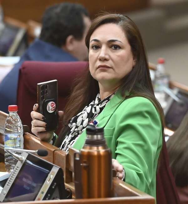 AUDIO: Diputada Rocio Abed sobre el caso Lalo Gomes: “Coincidimos las dos bancadas en que hubo irregularidades en el procedimiento”. - Periodísticamente - ABC Color