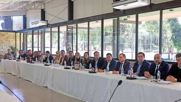 Diputados colorados ratifican ante Peña y Cartes pedido de renuncia de Enrique Riera