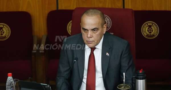 La Nación / Congreso arbitrará medios para garantizar seguridad a Celeste Amarilla
