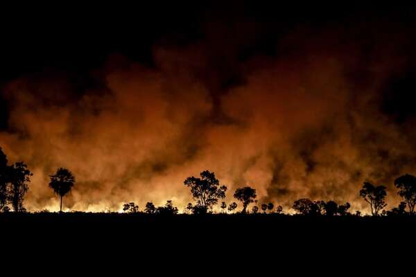 Los incendios en São Paulo provocan pérdidas de 180 millones de dólares en el sector agro - Mundo - ABC Color
