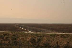 Arroceras desmienten daño ambiental - Nacionales - ABC Color