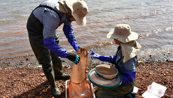 El 69% del agua en Paraguay es utilizada por el sector agrícola y ganadero (sector industrial se lleva el 1%/)