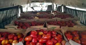 Diario HOY | La mayor incautación de tomates del año: más de 40 toneladas a metros del Abasto