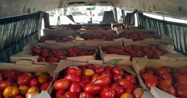 Diario HOY | La mayor incautación de tomates del año: más de 40 toneladas a metros del Abasto