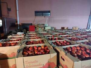 Incautan casi 40.000 kilos de tomate de contrabando, cerca del Abasto - Policiales - ABC Color