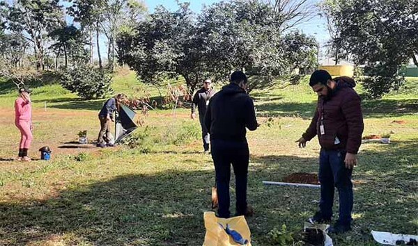 Alumnos de UPE plantan árboles en Parque Independencia de Presidente Franco | DIARIO PRIMERA PLANA