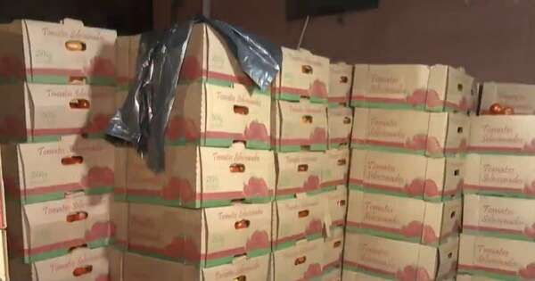 La Nación / Incautan 40 toneladas de tomates de contrabando
