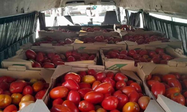 La mayor incautación de tomates del año: más de 40 toneladas a metros del Abasto – Prensa 5
