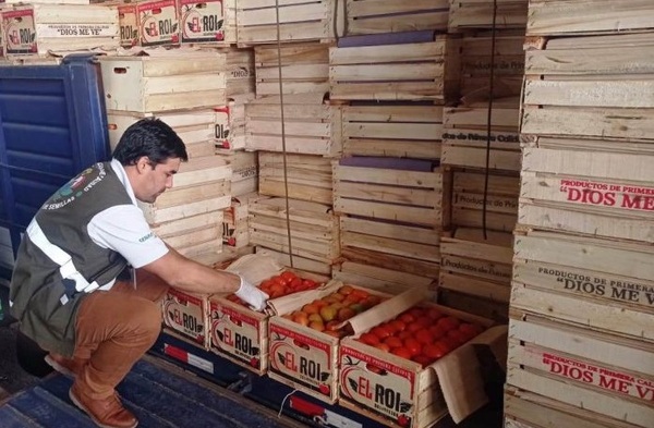 Incautan la mayor carga de tomate de contrabando en inmediaciones del Abasto