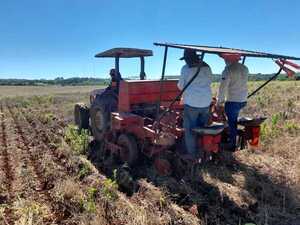 “La Niña”: Perspectivas climáticas preocupan a productores agropecuarios  - Megacadena - Diario Digital