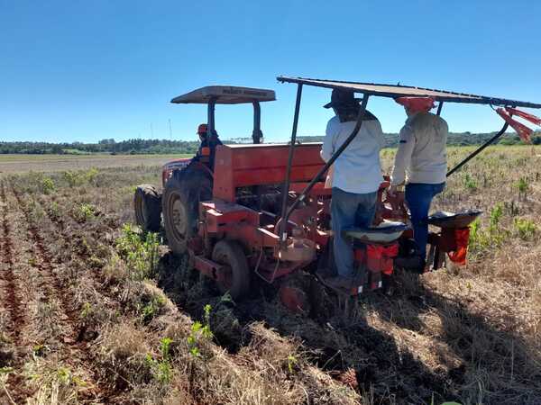 “La Niña”: Perspectivas climáticas preocupan a productores agropecuarios - Megacadena - Diario Digital