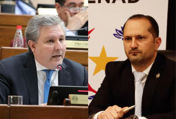 Filizzola cree que el ministro de la SENAD debe ser destituido - Megacadena - Diario Digital