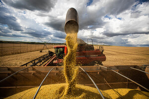 Commodities agrícolas con panorama complicado: en 13 meses ya bajaron 230 dólares - Megacadena - Diario Digital
