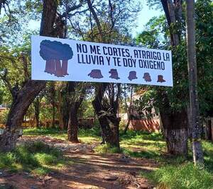 Vuelve a Diputados el debate sobre la protección del Bosque San Vicente - ADN Digital
