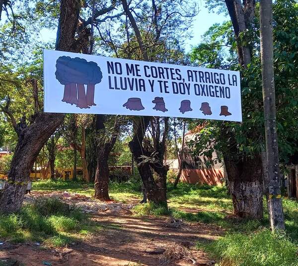 Vuelve a Diputados el debate sobre la protección del Bosque San Vicente - ADN Digital