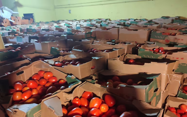 Decomisan 40 toneladas de tomate de contrabando en Asunción - Noticiero Paraguay
