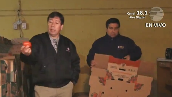 Incautan 40 toneladas de tomate de contrabando a metros del Mercado de Abasto