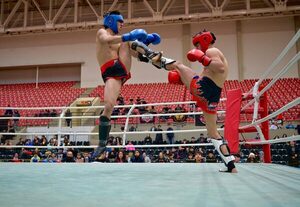 Exitoso tercer campeonato nacional de kickboxing - .::Agencia IP::.
