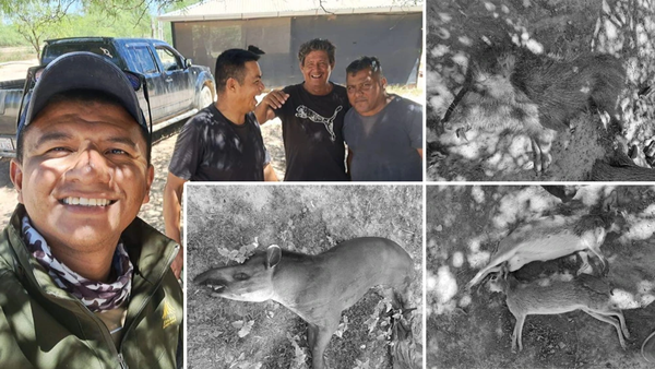Policías son ligados a la caza ilegal de animales silvestres en el Chaco - Noticiero Paraguay