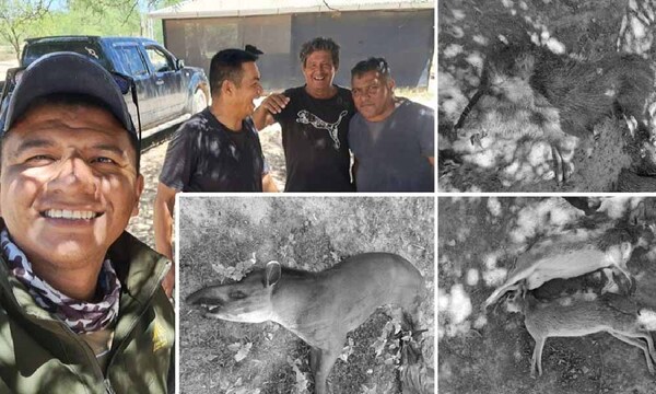 Policías son ligados a la caza ilegal de animales silvestres en el Chaco – Prensa 5