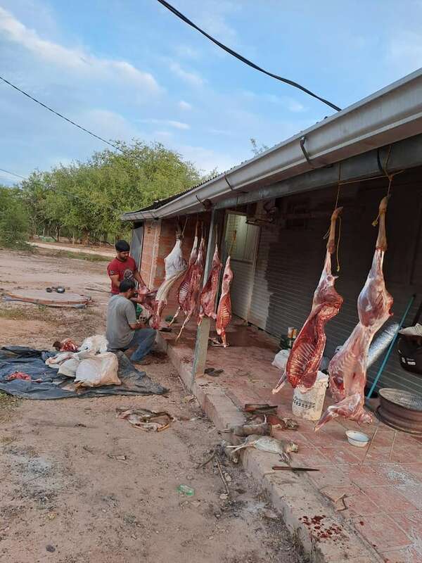 Caza ilegal: animales silvestres habrían sido carneados en comisaría - Nacionales - ABC Color