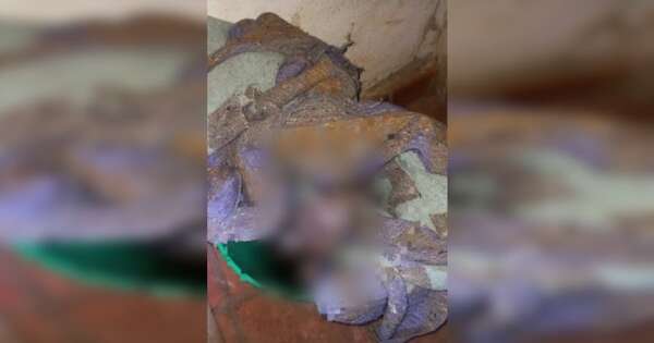 Diario HOY | Terrible hallazgo en Horqueta: descubren cuerpo de un recién nacido en un balde