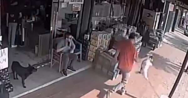 La Nación / Maltrato animal en Encarnación: hombre alzó del cuello a su perro y lo golpeó en el hocico