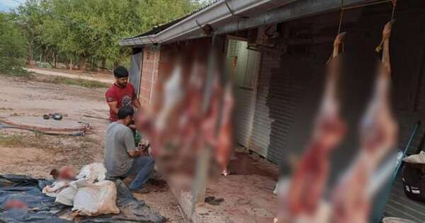 La Nación / Fiscalía investiga a policías por supuesta caza furtiva de animales en el Chaco