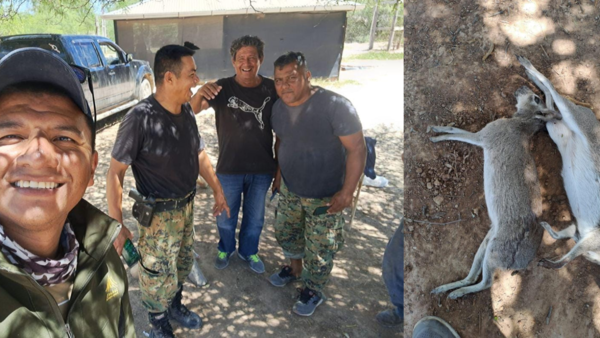 Policías, en la mira por cazar yacaré, tapiti boli y otras especies en peligro de extinción