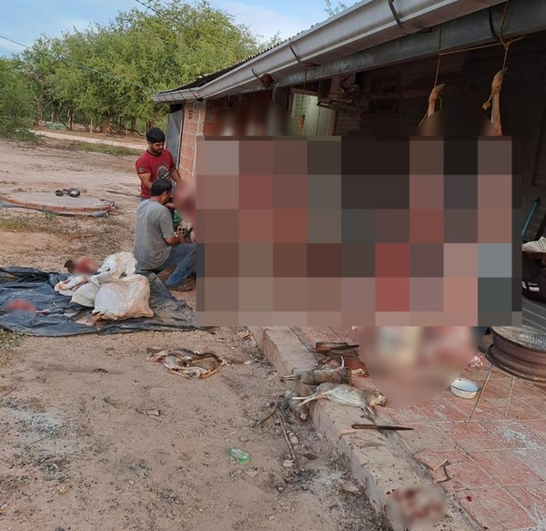 Policías investigados por supuesta caza furtiva de animales en el Chaco - ADN Digital